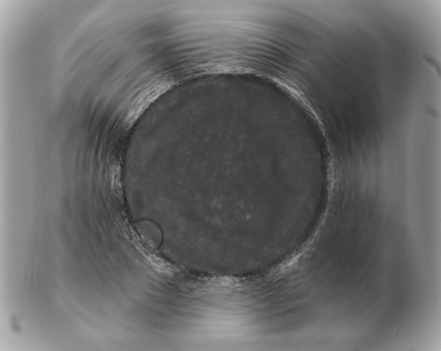 X0000102490881200808291647