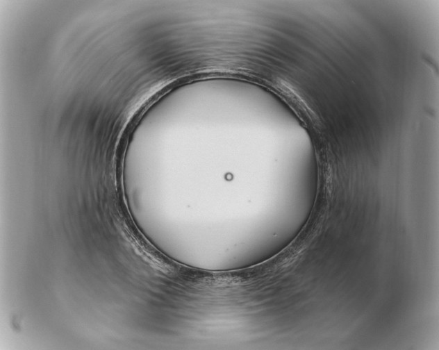 X0000102490884200808291647