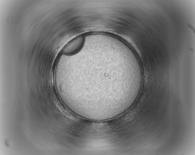 X0000102490887200808291647