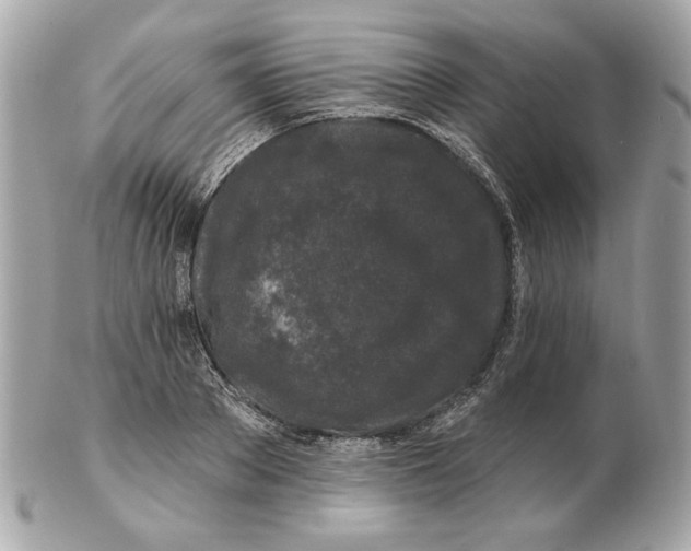 X0000102490889200808291647