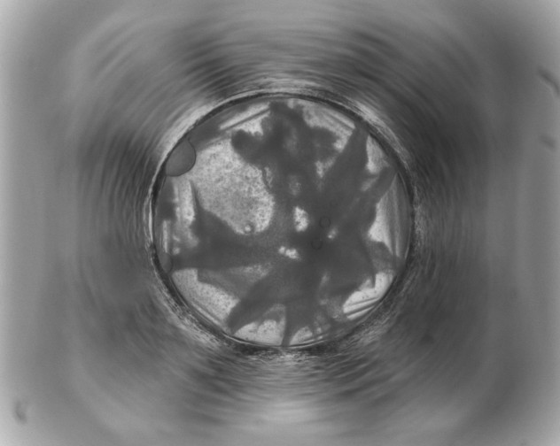 X0000102490891200808291647