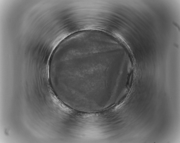 X0000102490892200808291647