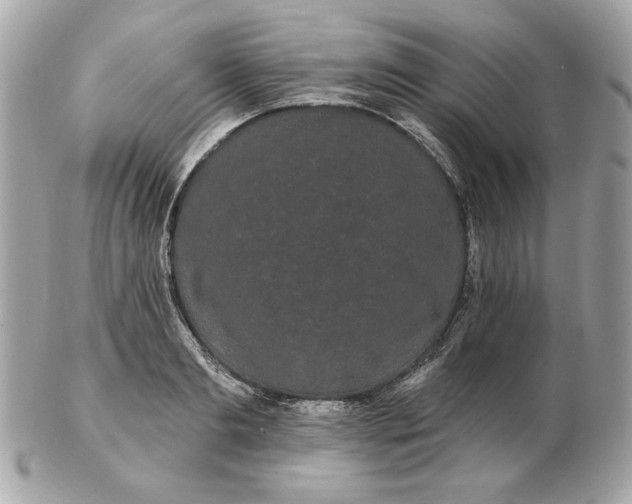 X0000102490893200808291647