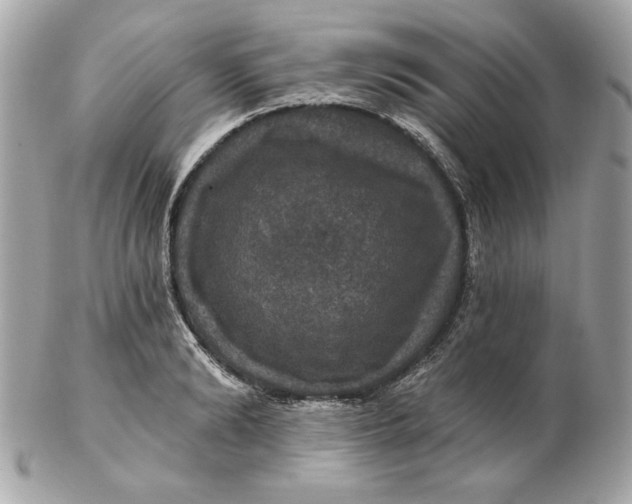 X0000102490894200808291647