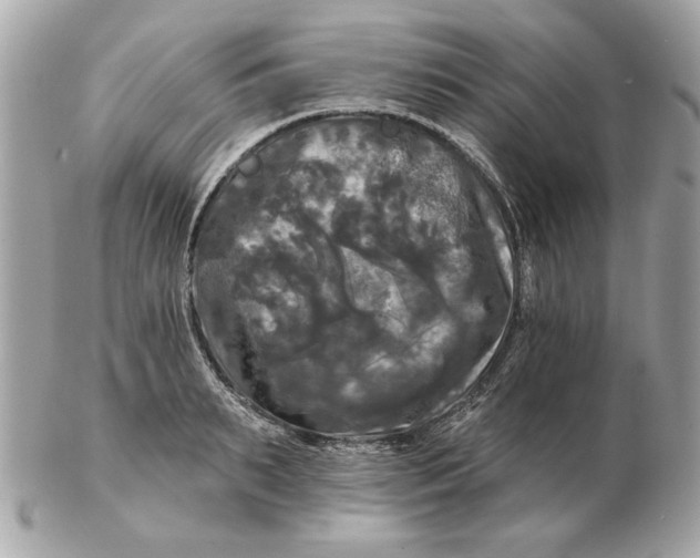 X0000102490895200808291647