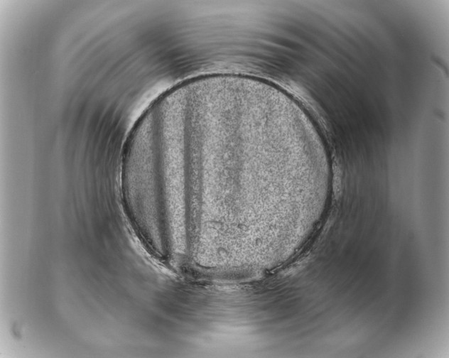 X0000102490896200808291647