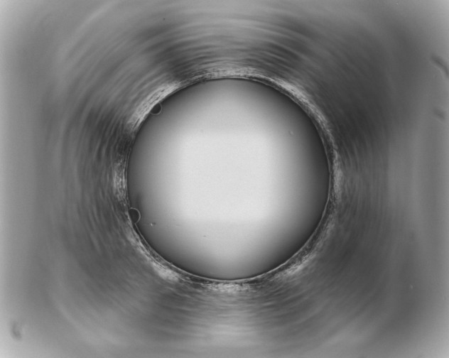 X0000102490897200808291647