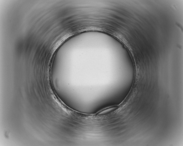 X0000102490898200808291646