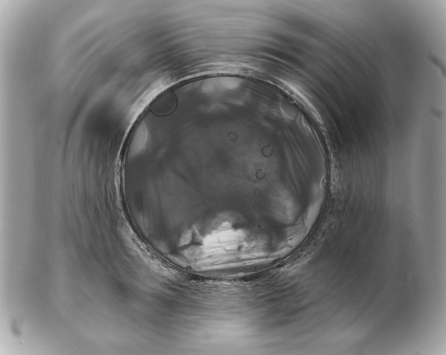 X0000102490899200808291646