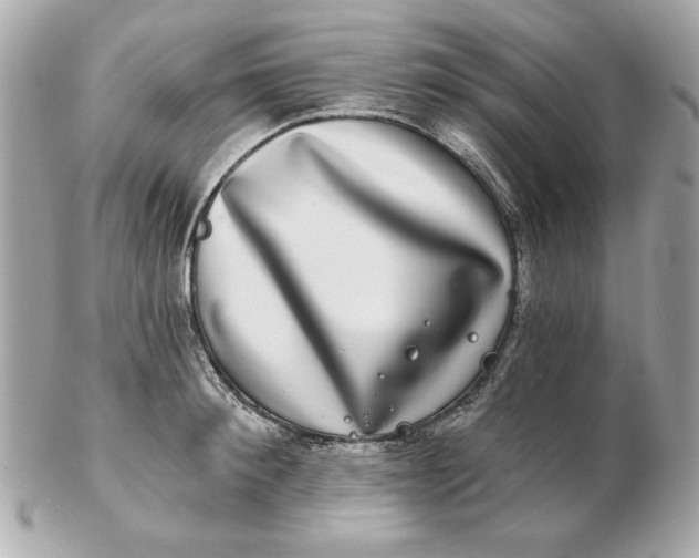 X0000102490900200808291646