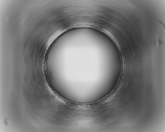 X0000102490901200808291646