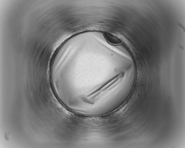 X0000102490902200808291646