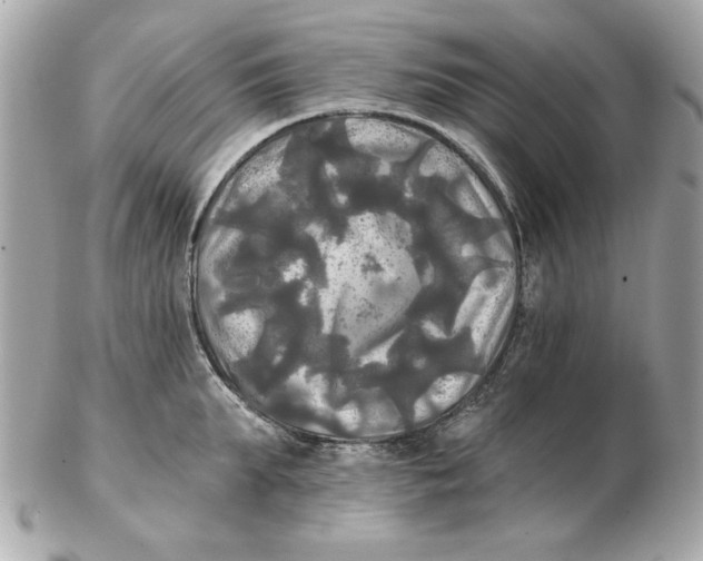 X0000102490903200808291646