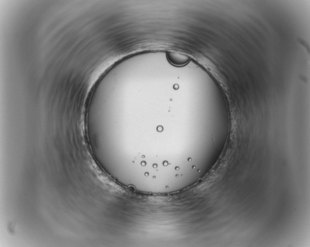 X0000102490904200808291646