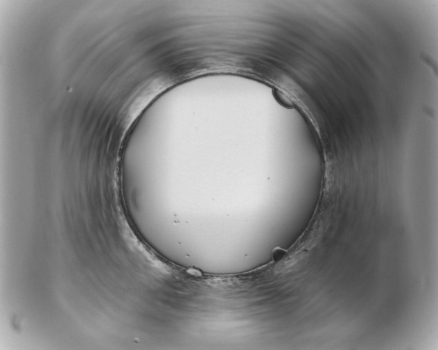 X0000102490906200808291646