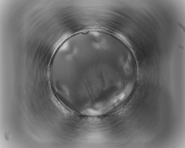 X0000102490907200808291646