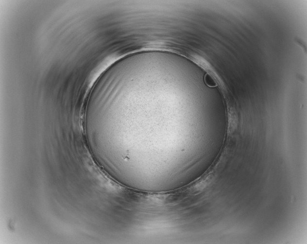 X0000102490908200808291646