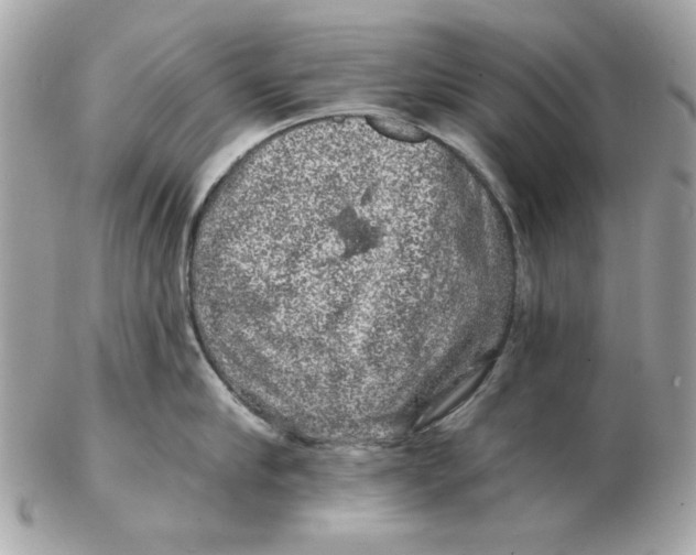 X0000102490910200808291646