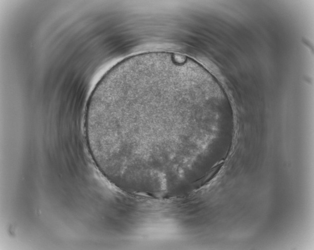 X0000102490912200808291646