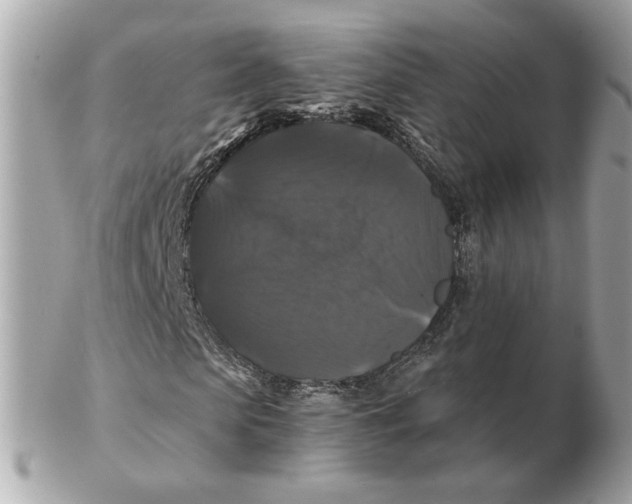 X0000102490913200808291645