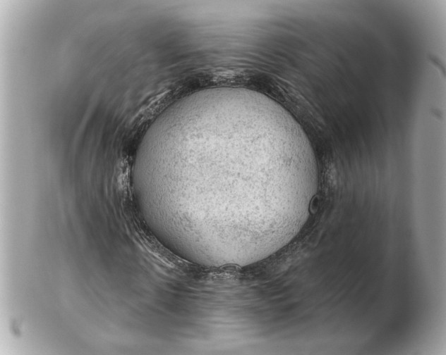 X0000102490914200808291645