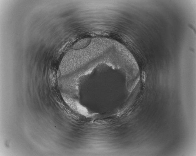 X0000102490915200808291645