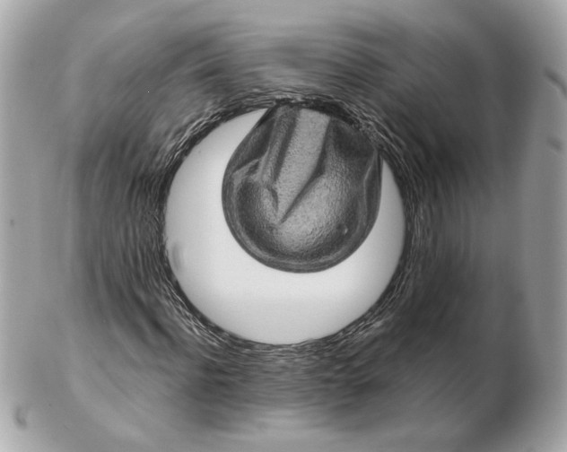 X0000102490916200808291646