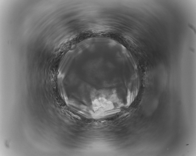 X0000102490917200808291646