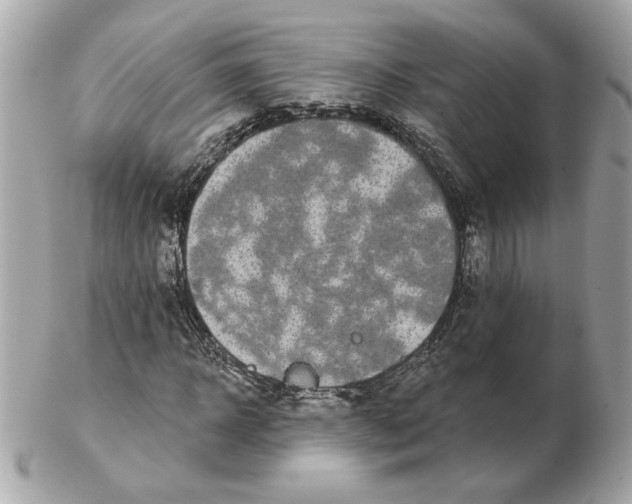 X0000102490918200808291646