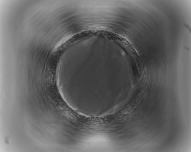 X0000102490919200808291646