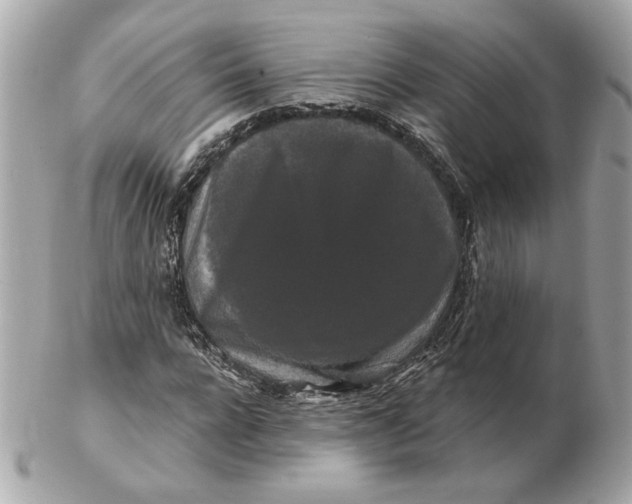 X0000102490920200808291646