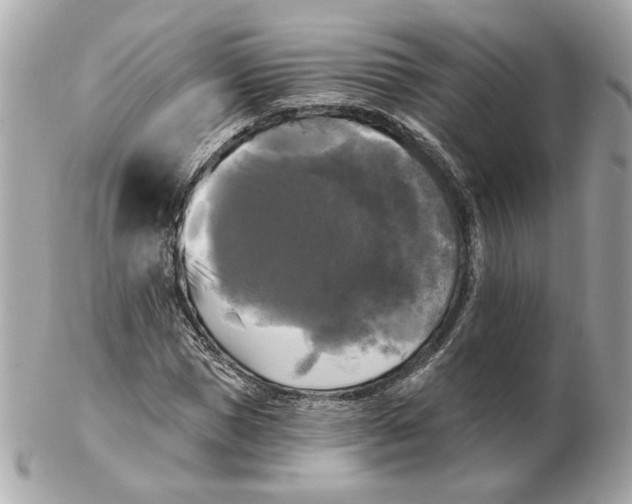 X0000102490921200808291646