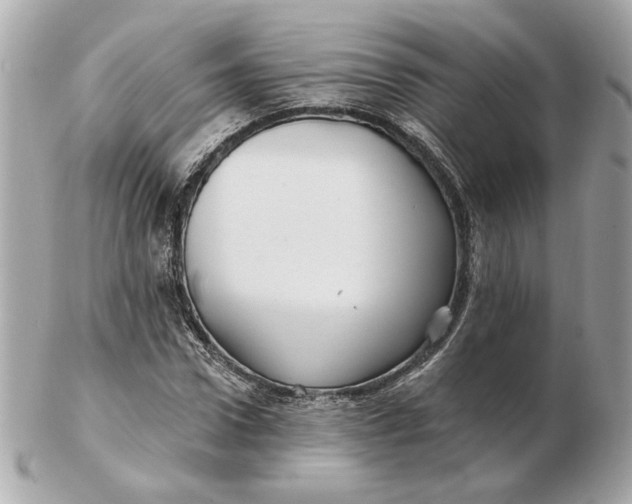 X0000102490922200808291646