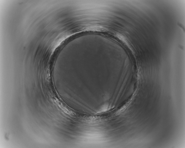 X0000102490923200808291646