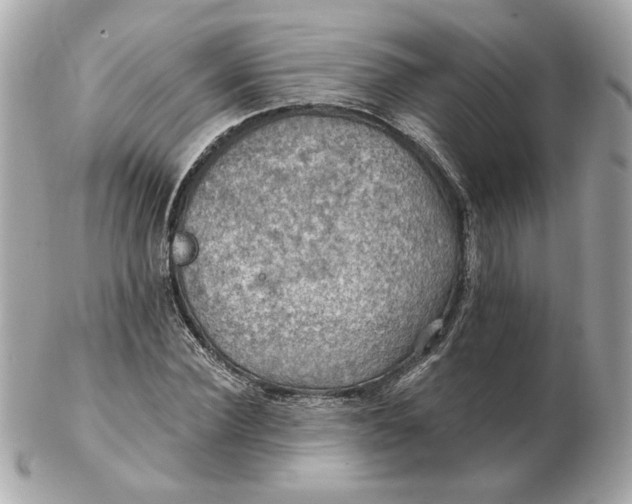 X0000102490924200808291646