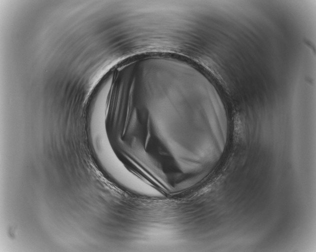 X0000102490926200808291646