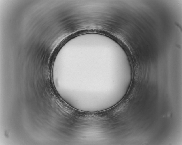 X0000102490927200808291646