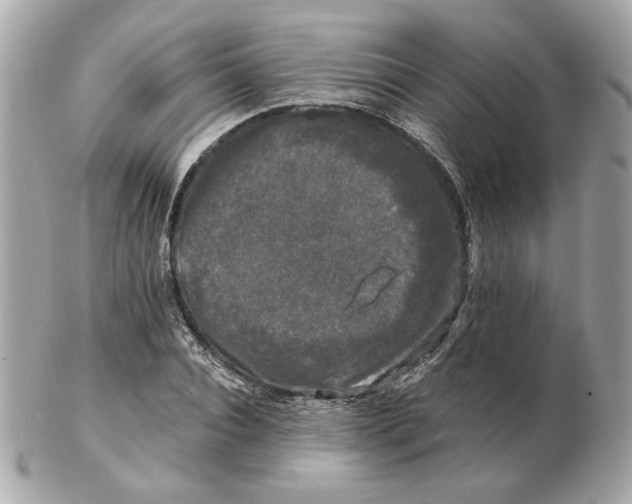 X0000102490928200808291646