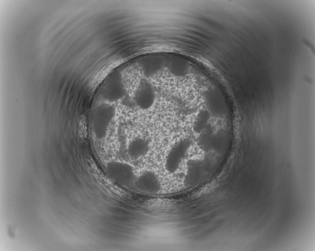 X0000102490929200808291646