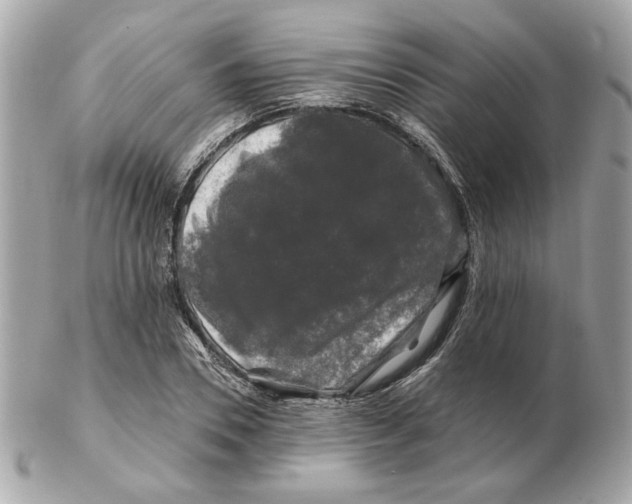 X0000102490930200808291646