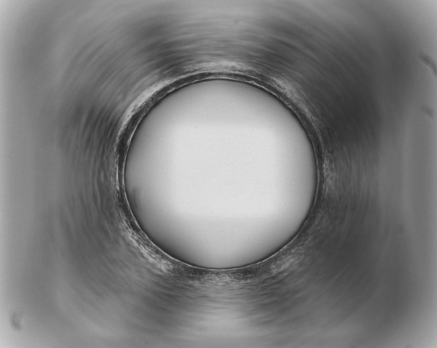 X0000102490931200808291646