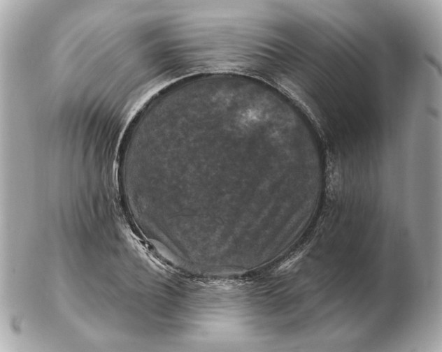 X0000102490932200808291646