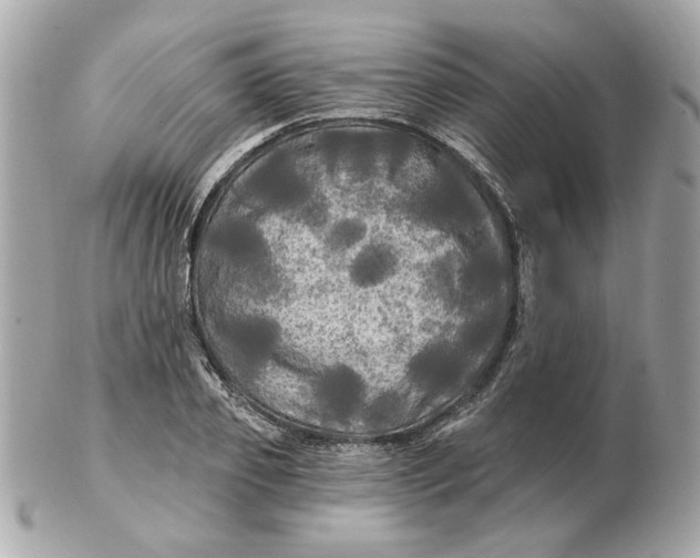 X0000102490933200808291646