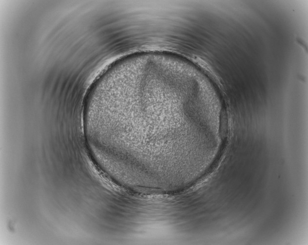 X0000102490934200808291646