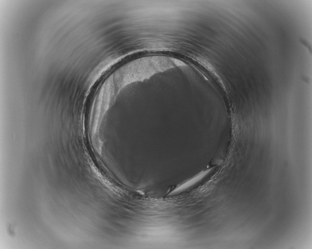 X0000102490935200808291646