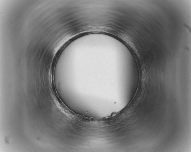 X0000102490936200808291646