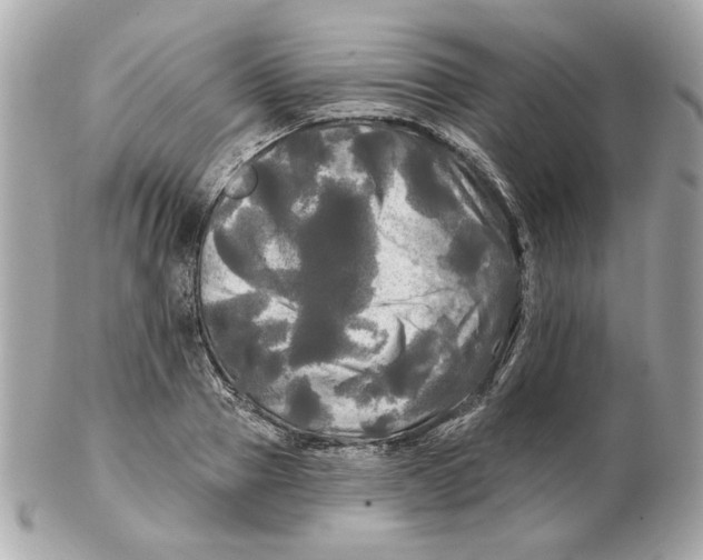 X0000102490937200808291646