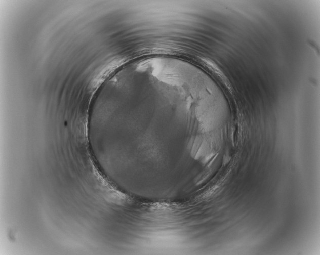 X0000102490938200808291646