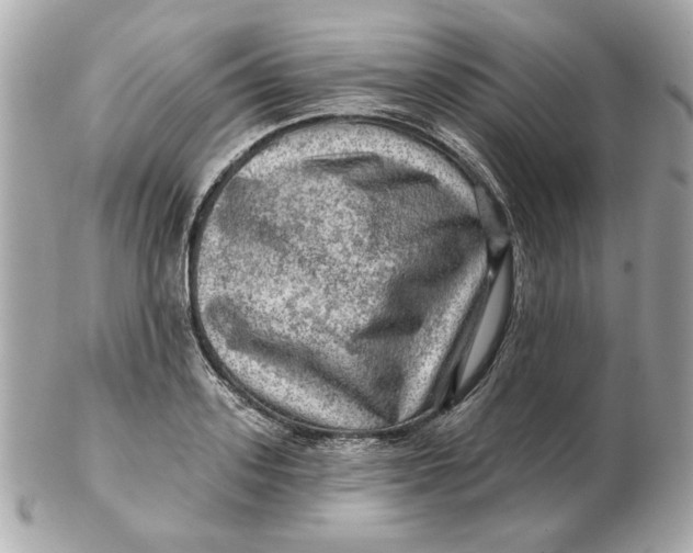 X0000102490939200808291646