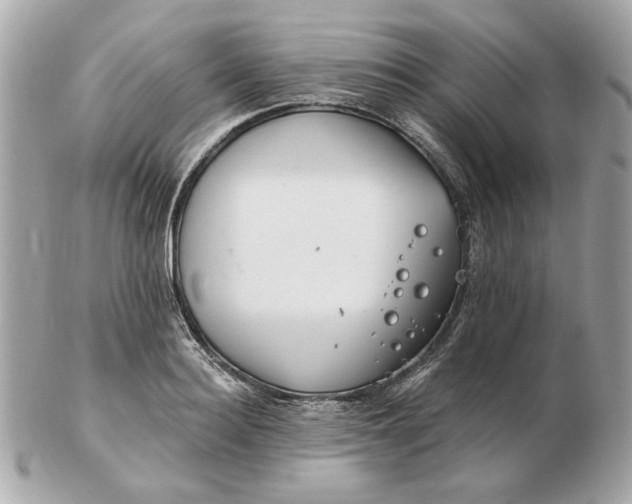 X0000102490940200808291646